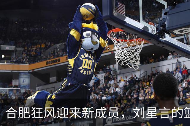 合肥狂风迎来新成员，刘星言的篮球梦启航！